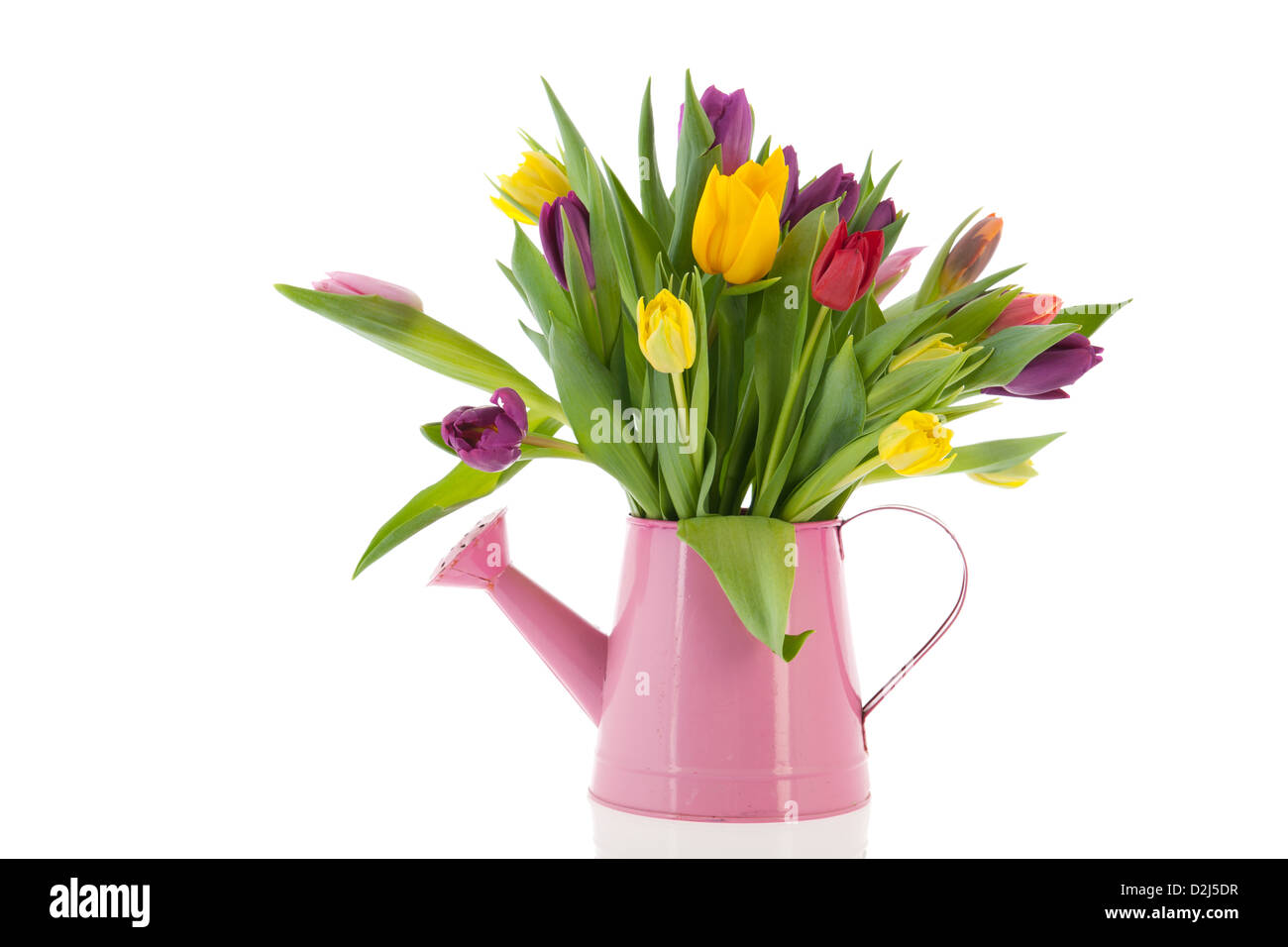 Annaffiatoio con colorati bouquet tulipani in primavera Foto Stock