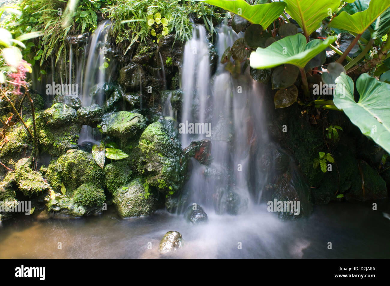 Fontana in miniatura, giardini botanici, Singapore Foto Stock