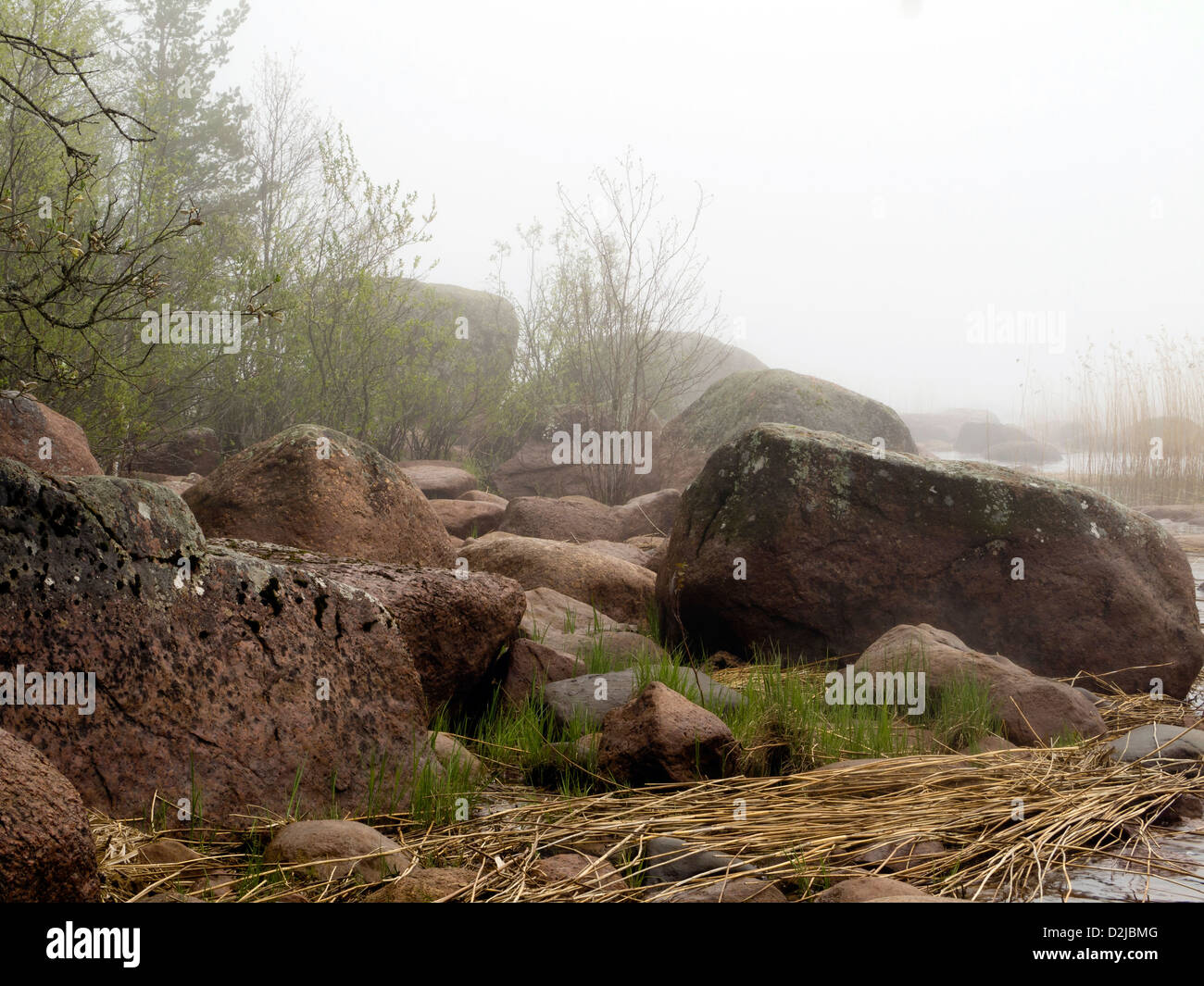 Nebbia e rocce costiere dal laghetto nel bosco Foto Stock