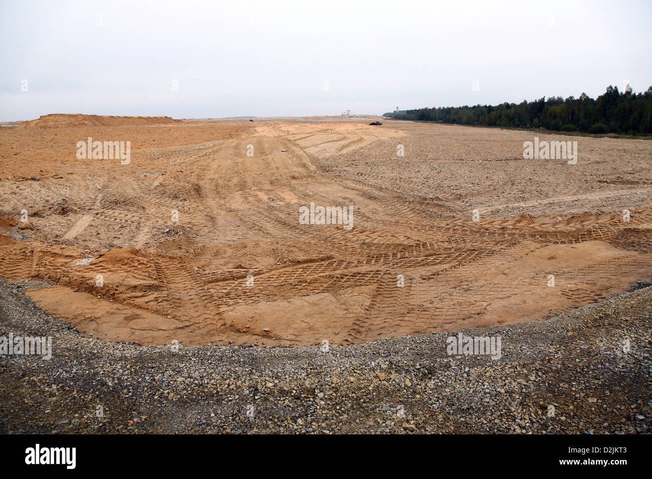 Nochten, Germania, Rekultivierungsflaeche WN 308 nel distretto forestale Nochten-Vattenfall Foto Stock