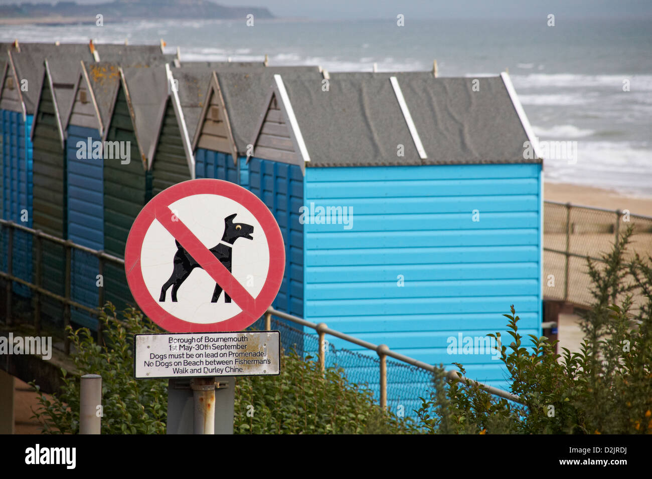 Cartello con le informazioni sui cani da capanne sulla spiaggia di Boscombe, Bournemouth, Dorset UK a gennaio - nessun cartello per cani Foto Stock