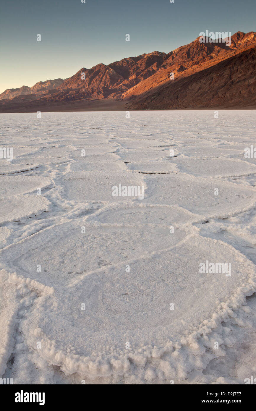 Salina poligoni sotto la montagna nera a Badwater, Parco Nazionale della Valle della Morte, California. Foto Stock