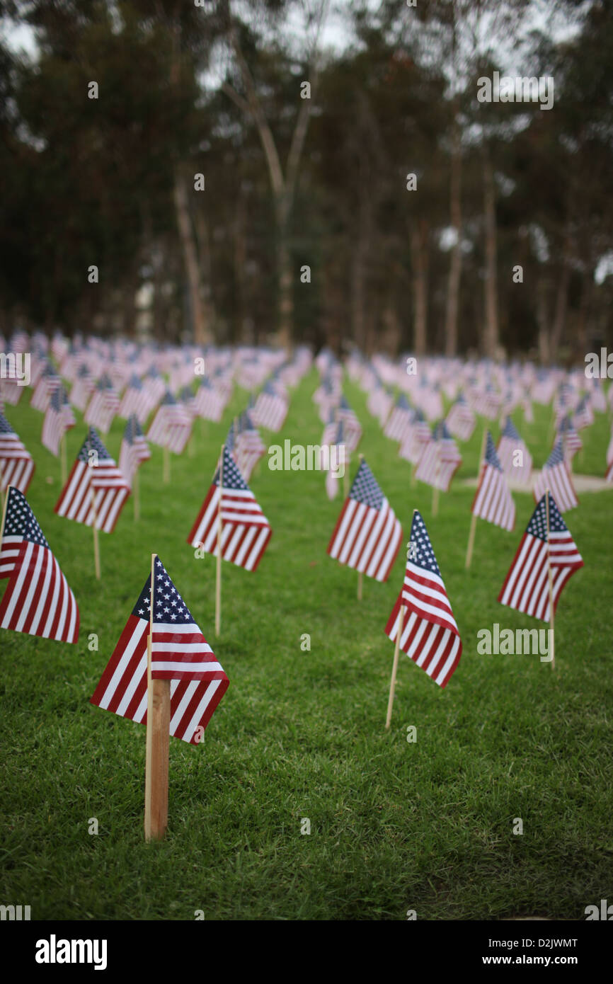 Molte piccole bandierine americane impostato in righe Foto Stock