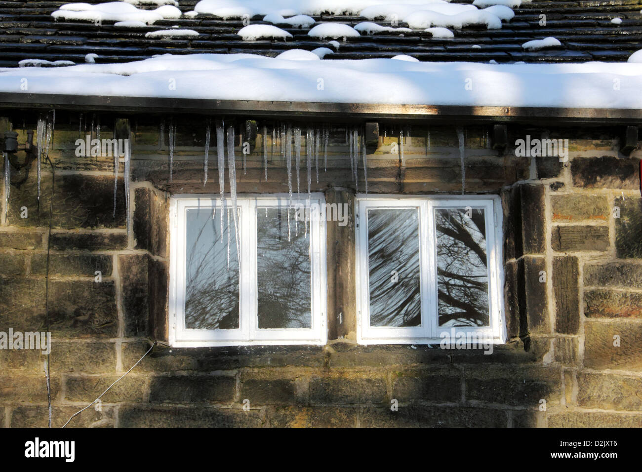 Inverno ghiaccioli su un Yorkshire Cottage Foto Stock