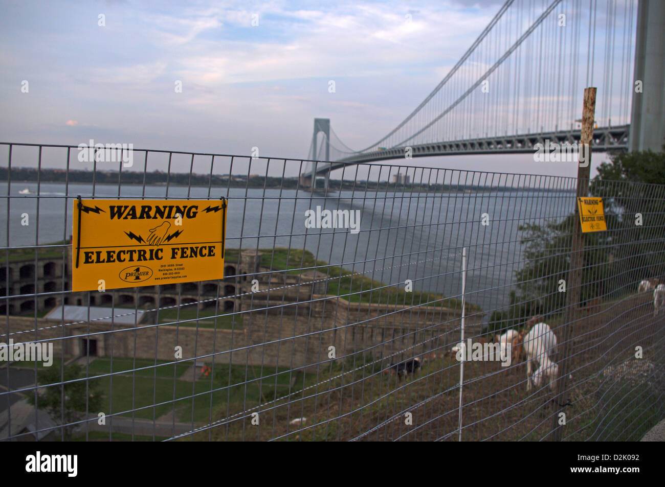 Segno attenzione a non toccare recinto elettrico proteggere Anglo-Nubian caprini domestici pascolano sulle erbe infestanti a storico Fort Wadsworth Foto Stock