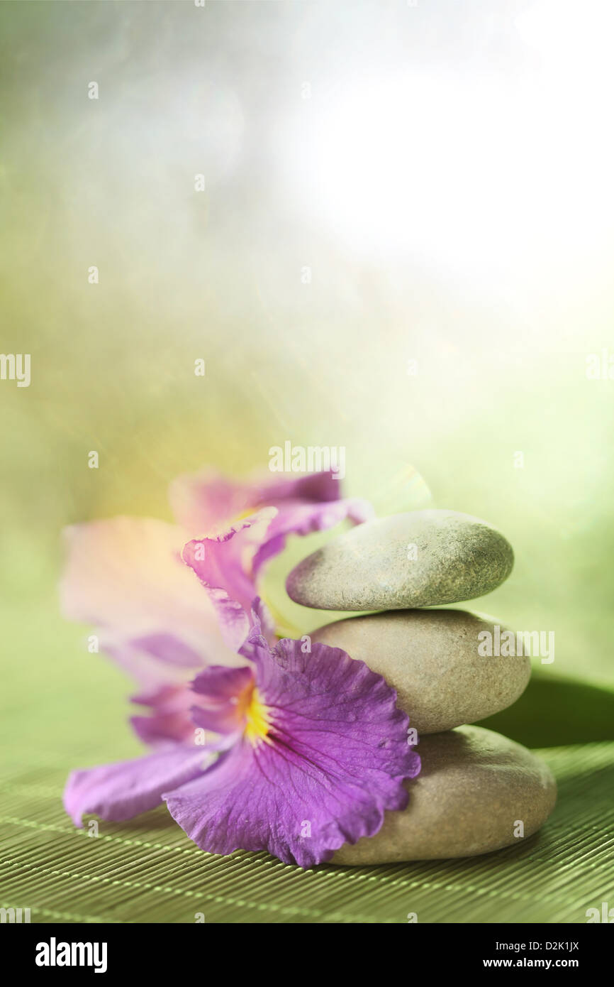 Giardino di roccia Foto Stock