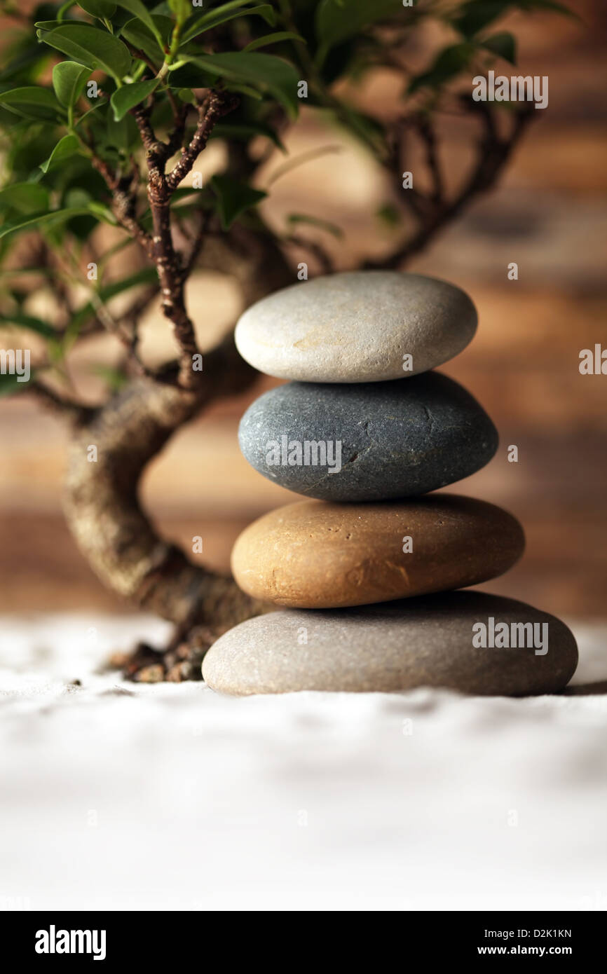 Pietre impilate sulla sabbia con albero di bonsai Foto Stock