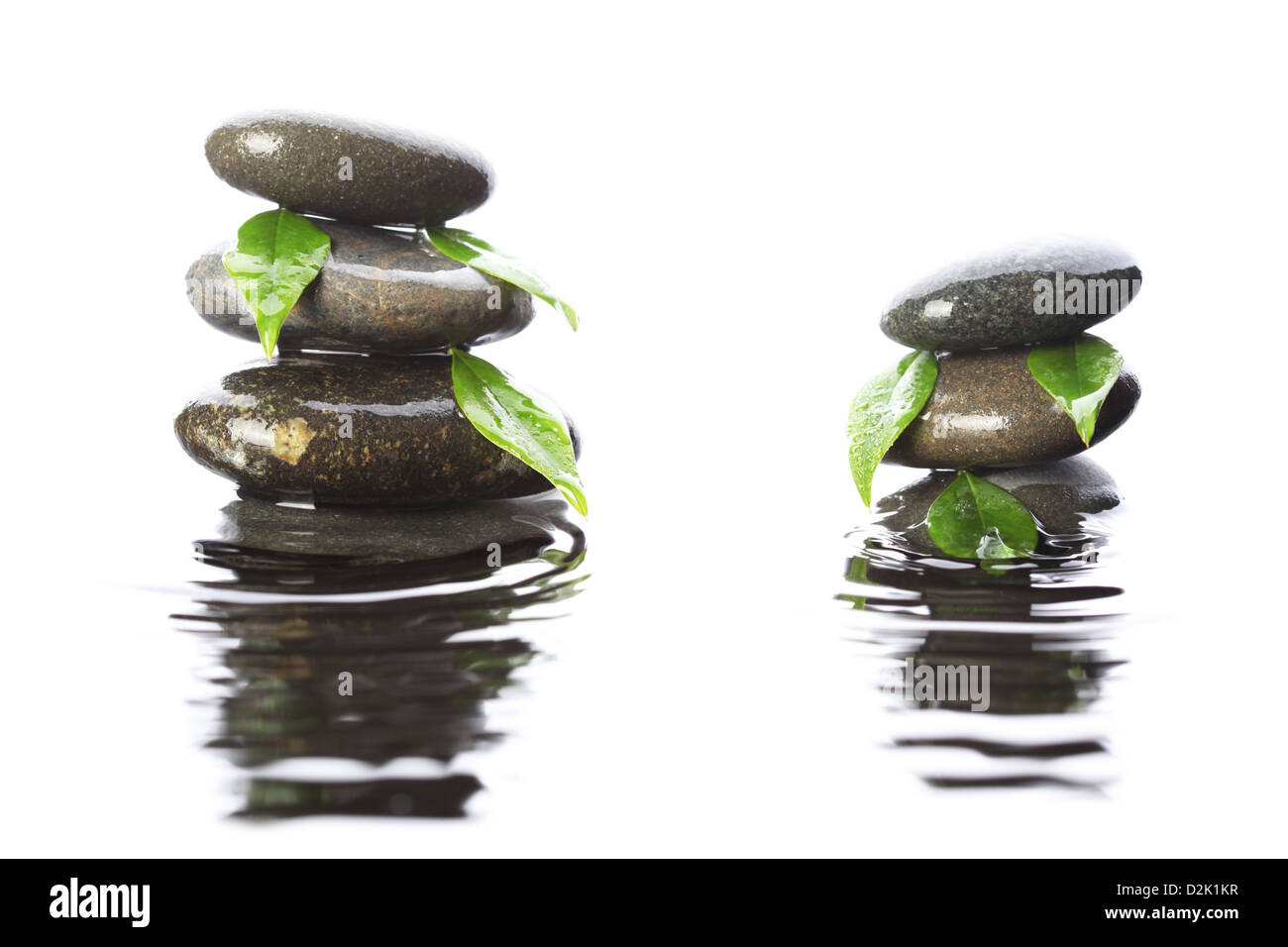 Le pietre in acqua con foglie Foto Stock