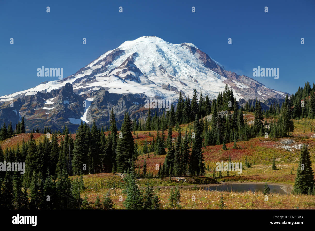 Mount Rainier sopra autunno prati colorati, Picco Naches Loop Trail, il Parco Nazionale del Monte Rainier, Washington, Stati Uniti d'America Foto Stock