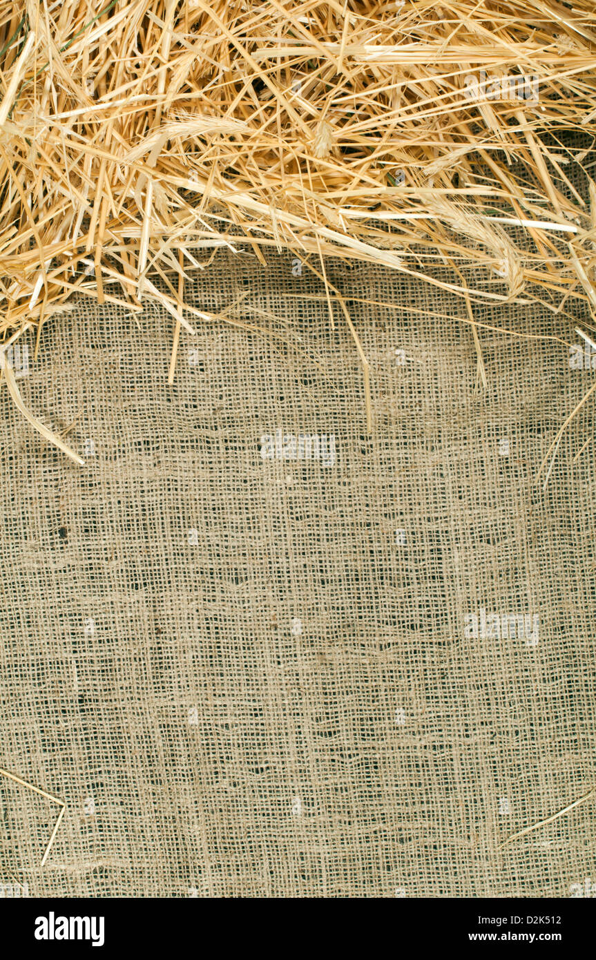 La paglia su tela e copia dello spazio. Studio shot. Foto Stock