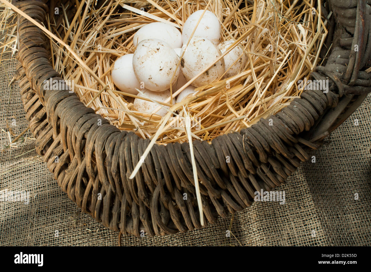 Organici di uova di colore bianco dal domestic farm. Le uova nel paniere vintage. Foto Stock