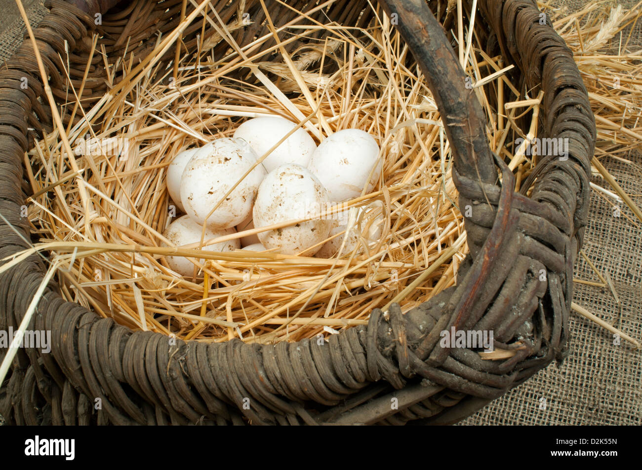 Organici di uova di colore bianco dal domestic farm. Le uova nel paniere vintage. Foto Stock