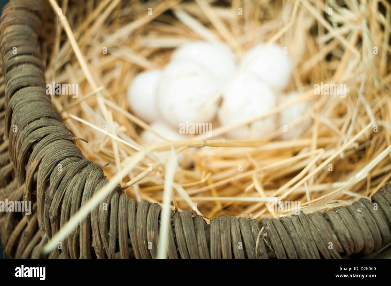 Organici di uova di colore bianco dal domestic farm. Le uova nel paniere vintage. Foto Stock