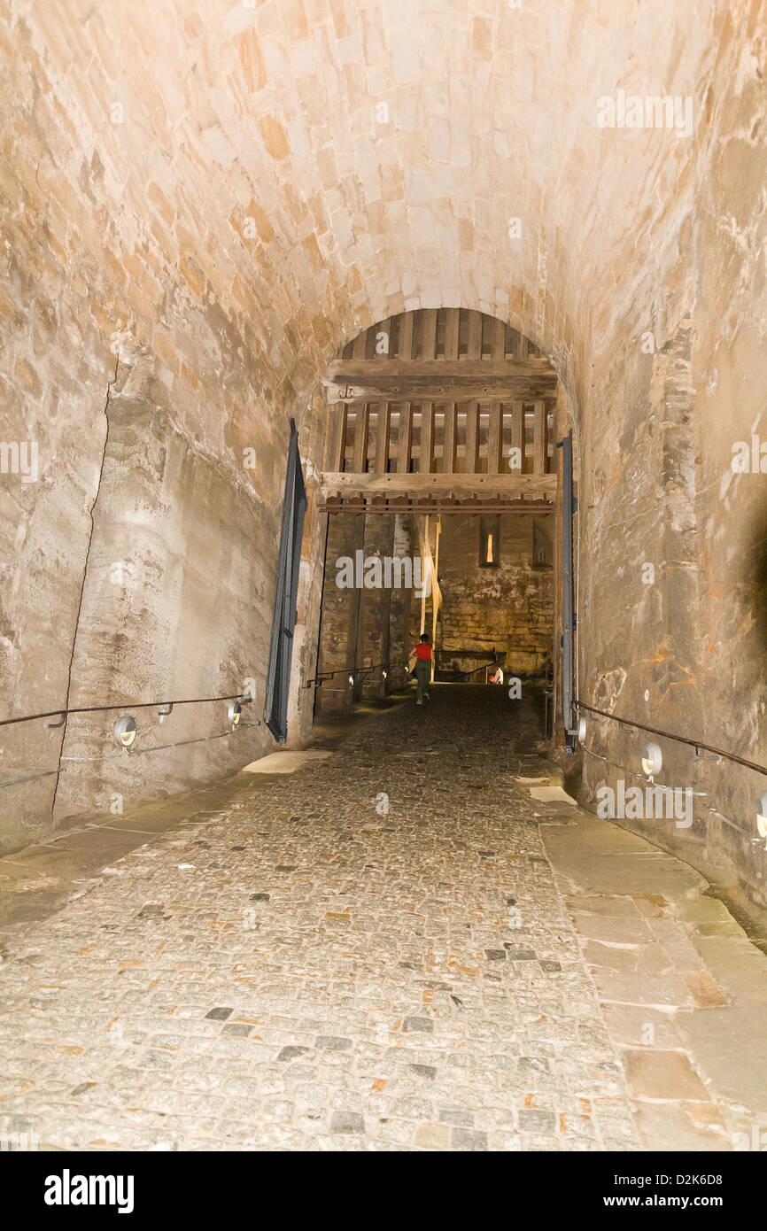 Konigstein fortezza sul fiume Elba, Germania Foto Stock