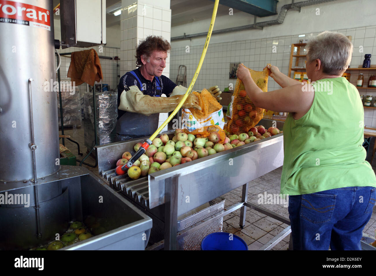 Sieversdorf High-Hofen, Germania, sidro - uomo e donna buttare le mele nel lavaggio auto Foto Stock