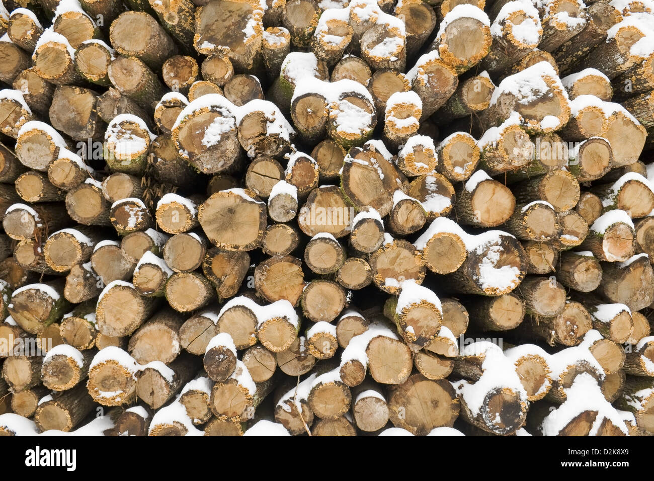 Vista frontale della pila di legno in inverno meteo Foto Stock
