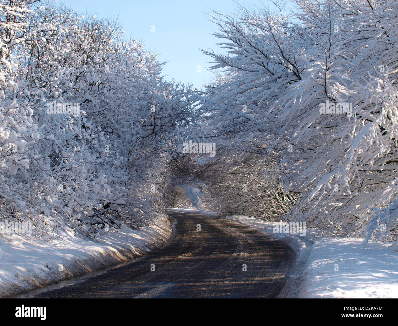 Coperta di neve alberi su strada, Exmoor, Somerset, Regno Unito. Gennaio 2013 Foto Stock