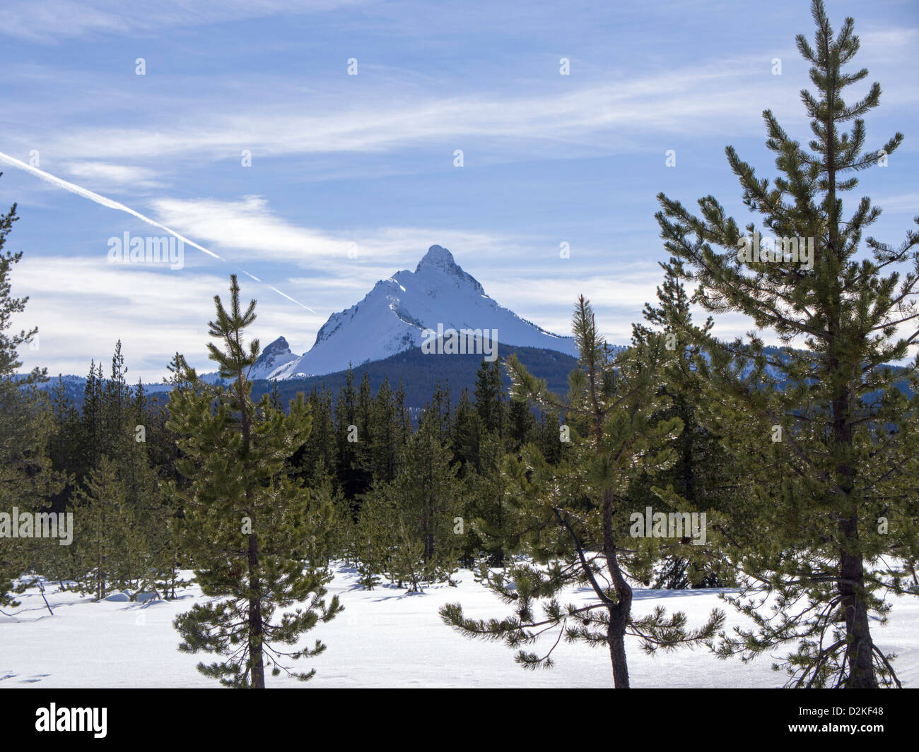 Vista di Mt. Washington dal Sud dell'Ansa di Ray Benson Sno-Park vicino Santiam Pass, Oregon, U.S.A. Foto Stock