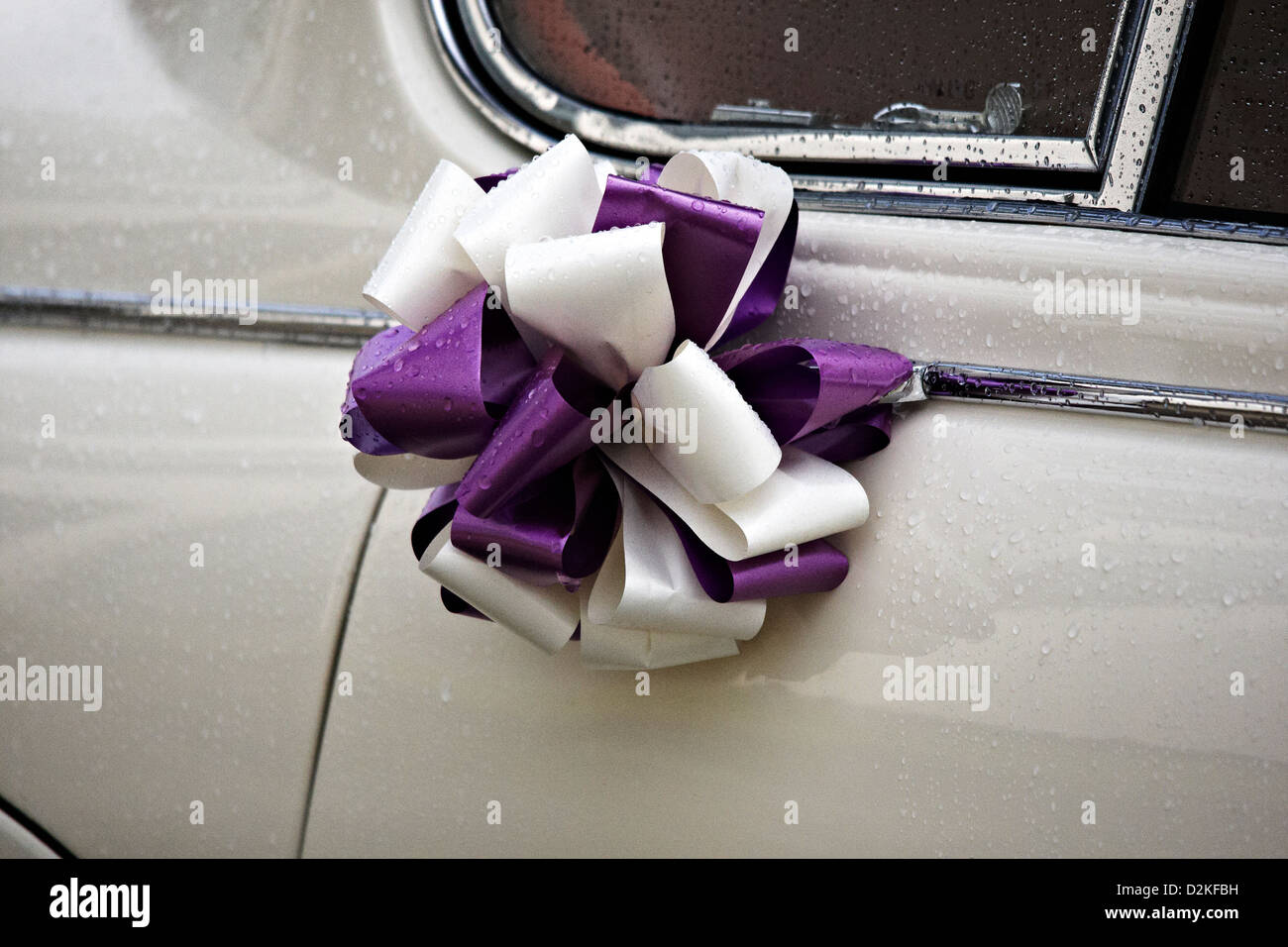 Viola e nastro bianco wedding bow attaccata al bianco auto nozze Foto Stock