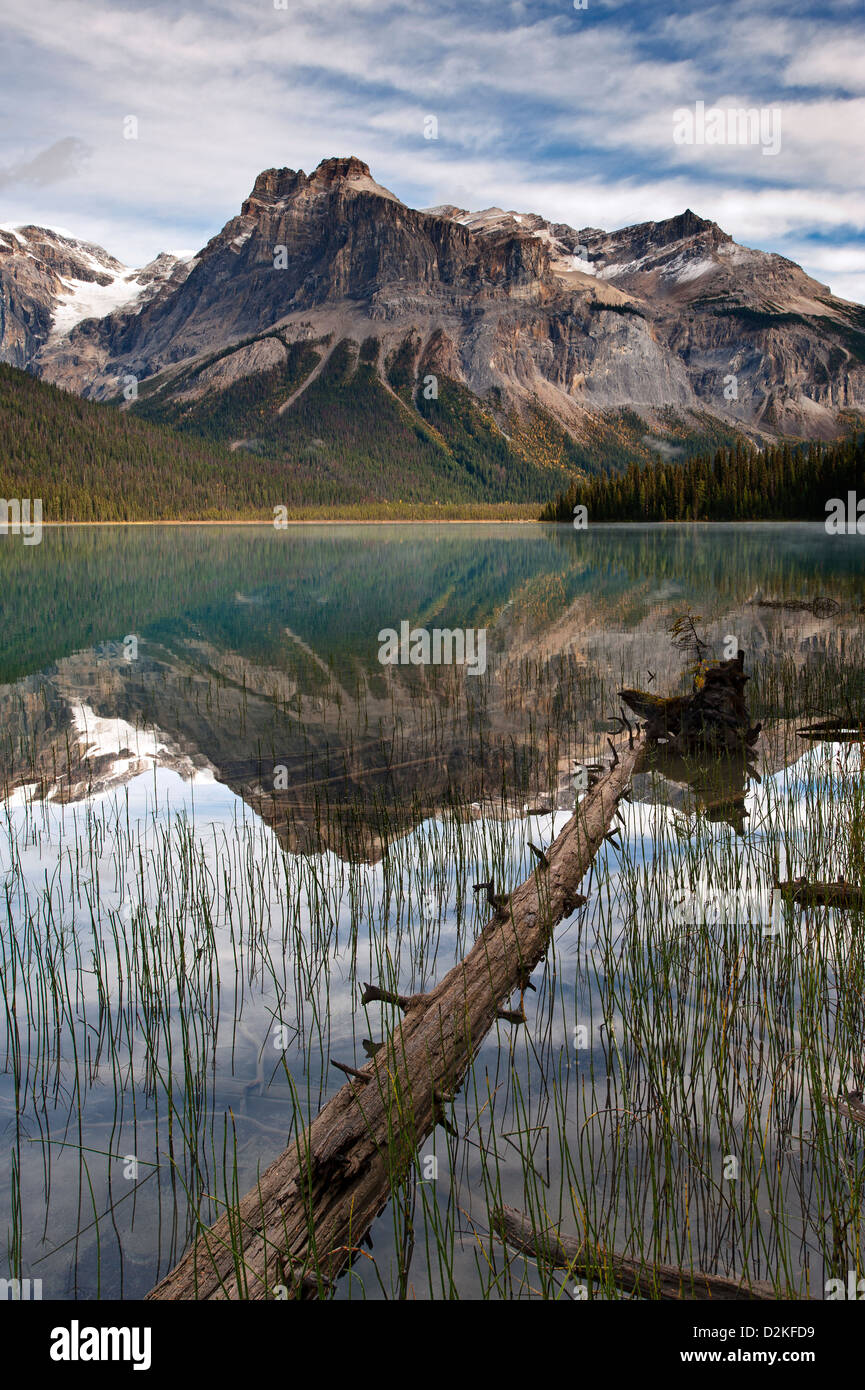 Il Lago di Smeraldo Parco Nazionale di Yoho BC Canada Foto Stock