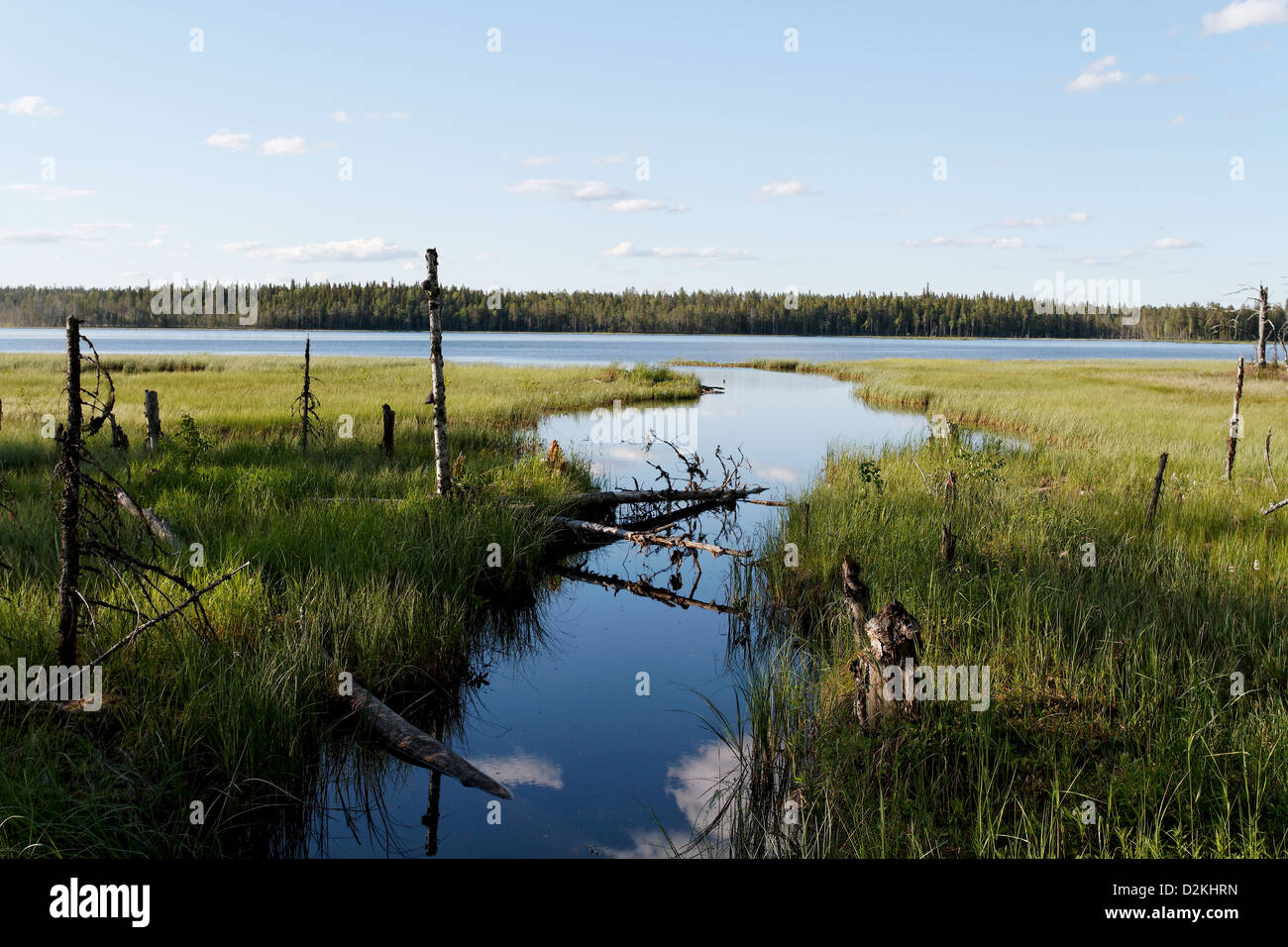 Lago Elimysjarvi, Elimyssalo Riserva Naturale, Finlandia Foto Stock