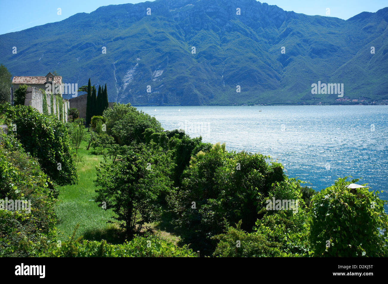 Alberi e vegetazione intorno al Lago di Garda con il Monte Baldo in background, Italia Foto Stock