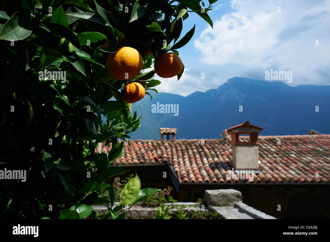 Arancio tetti di Limone - Lago di Garda - Garda Trentino Foto Stock