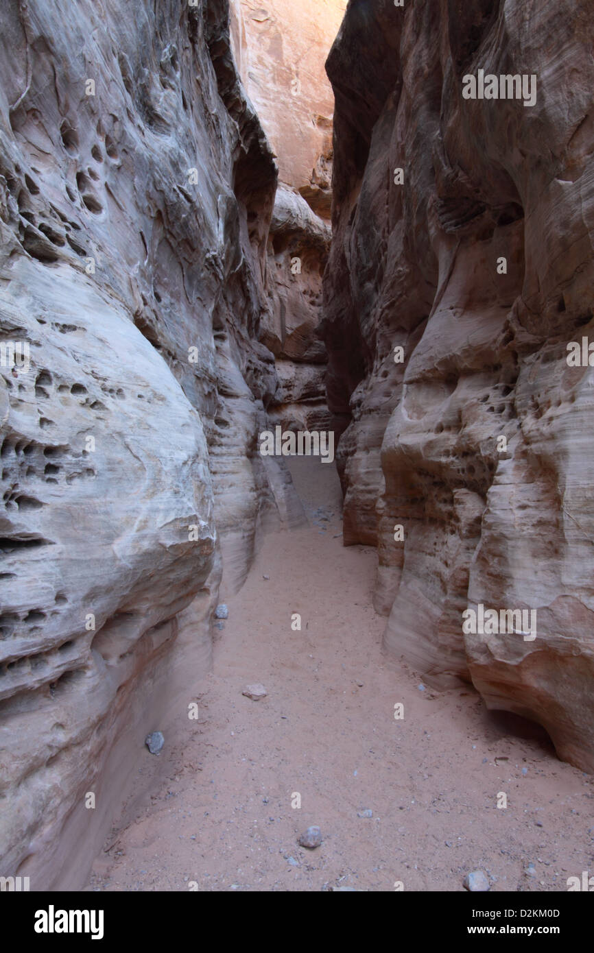 Cupole bianche slot canyon della valle del fuoco parco di Stato di Nevada Foto Stock