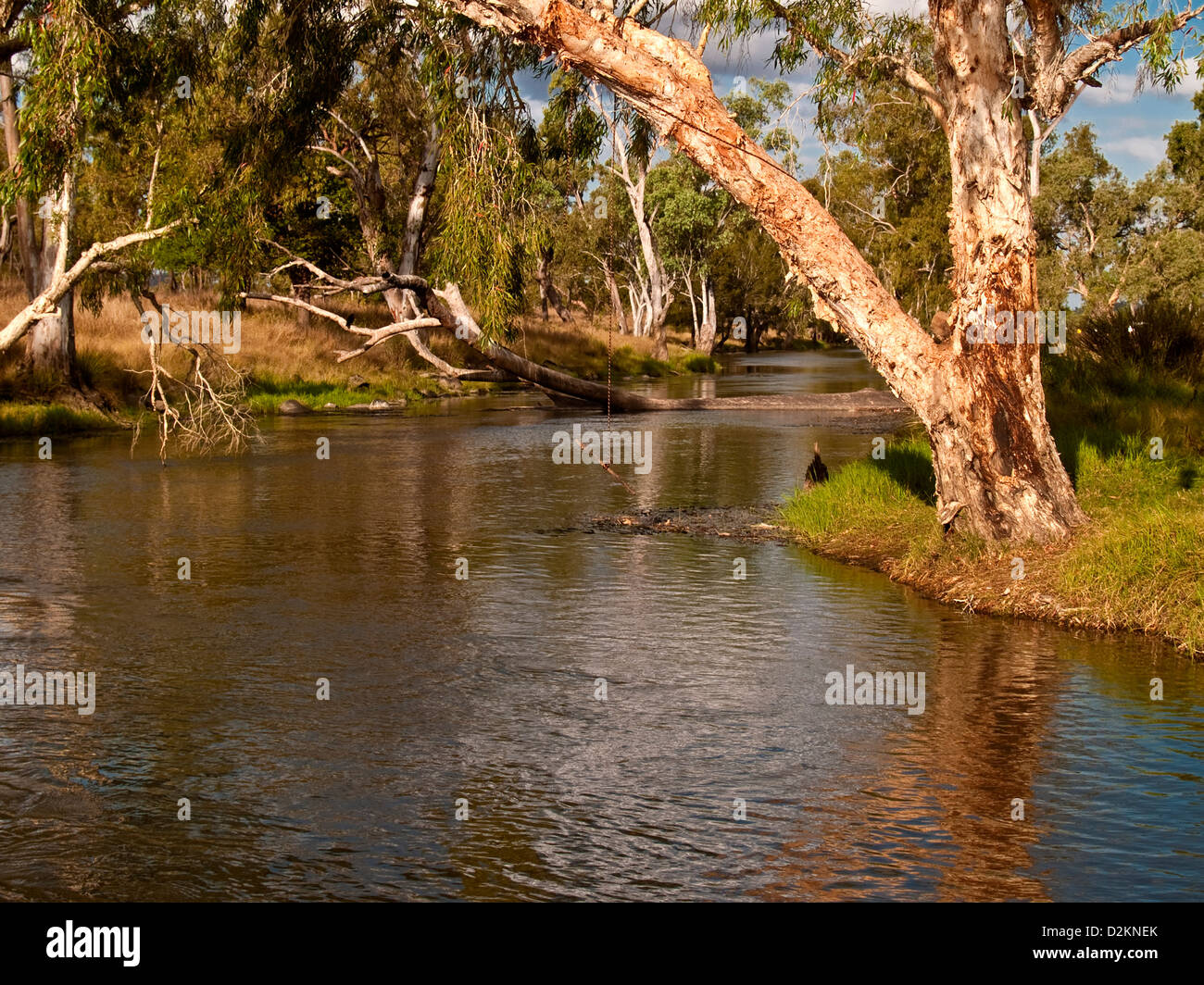 Nei pressi di Charters Towers, Queensland, Australia Foto Stock