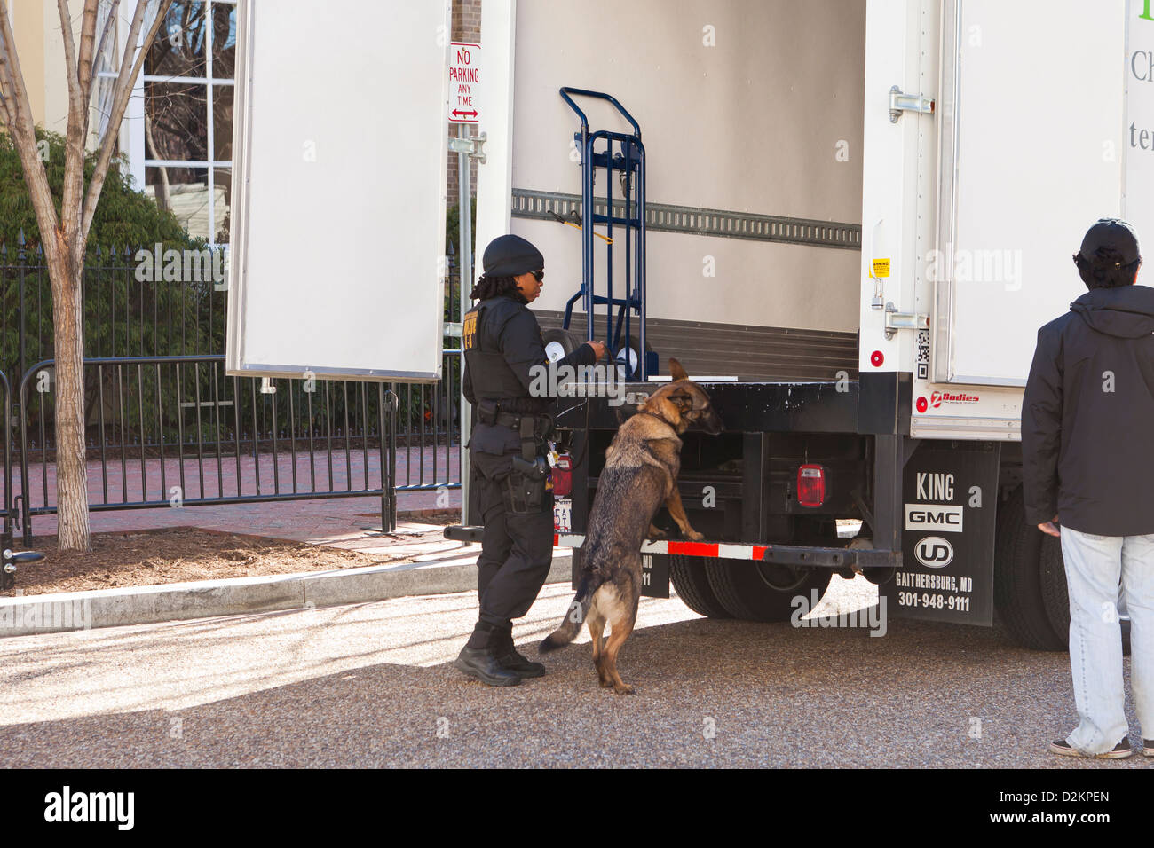 Lo sniffing di bomba cane lavorare sul retro di un camion - Washington DC, Stati Uniti d'America Foto Stock