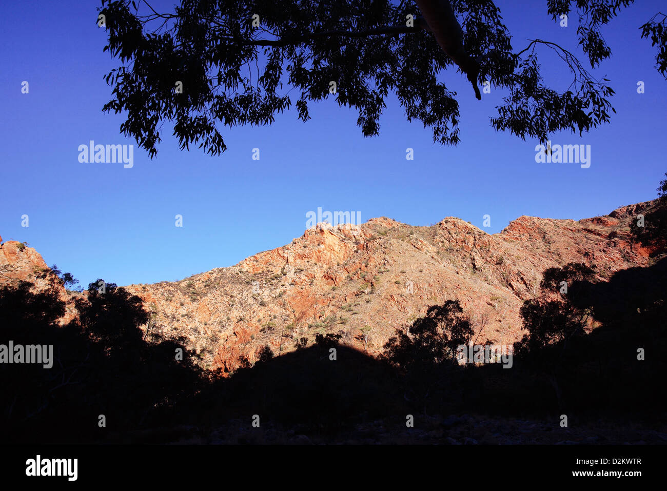 Vista da Larapinta Trail. West McDonnell Ranges, Australia centrale. Foto Stock