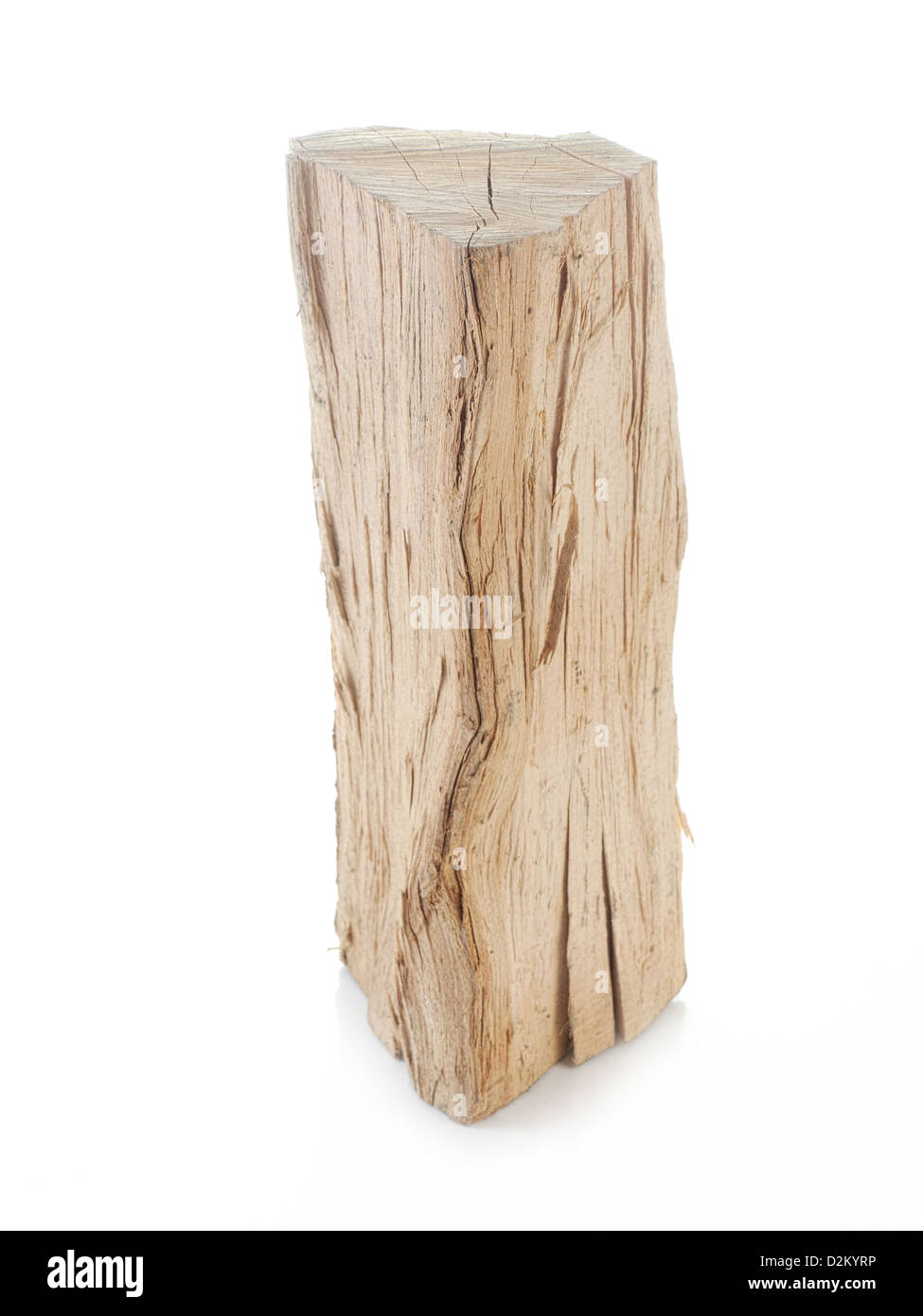 Pezzo di legno di faggio tritate shot su bianco Foto Stock
