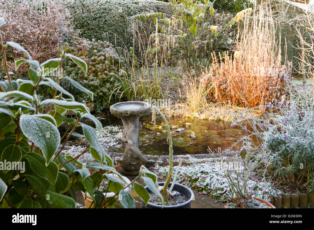 Congelati del laghetto in giardino in inverno Foto Stock