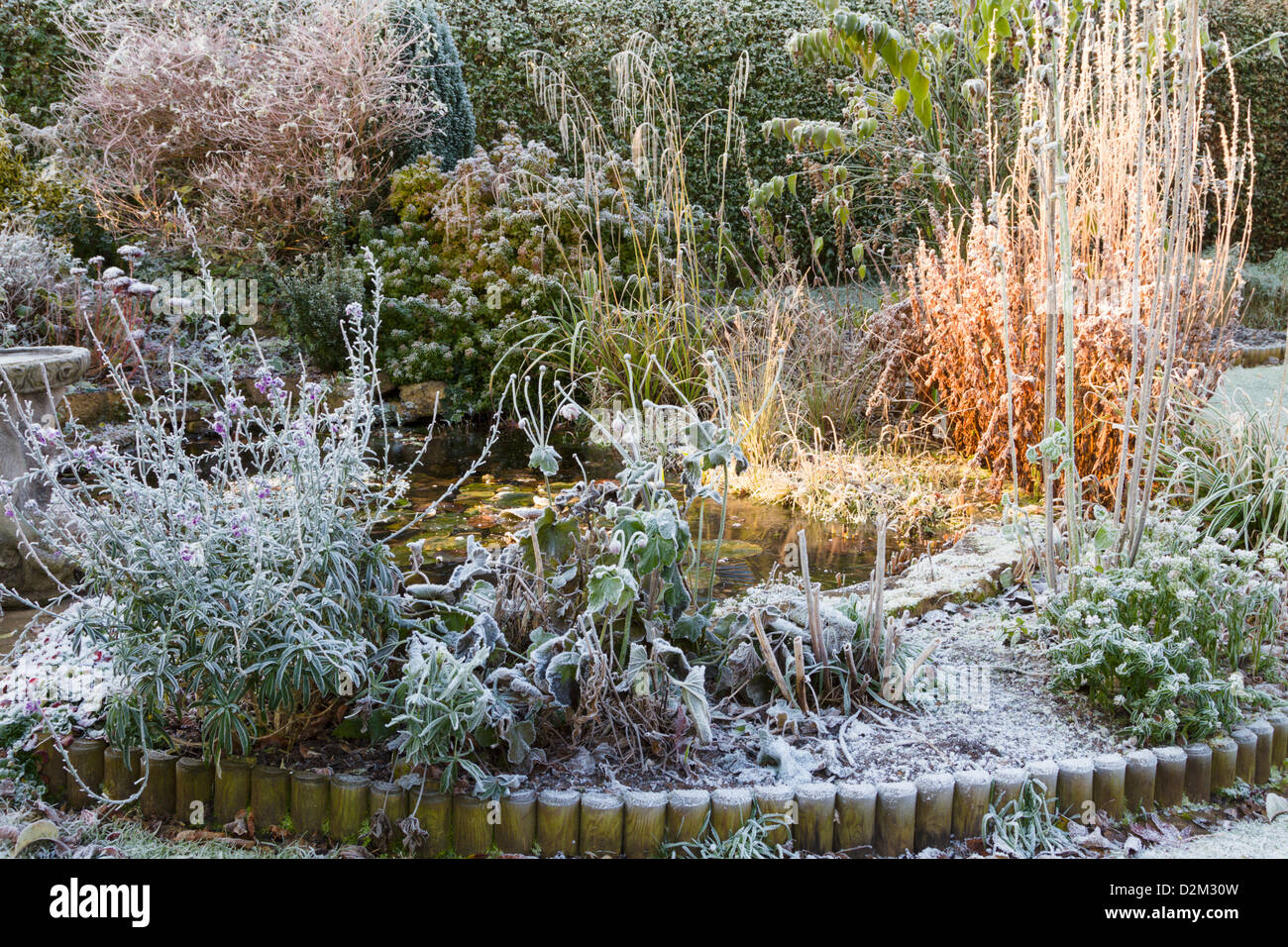 Laghetto in giardino in inverno Foto Stock