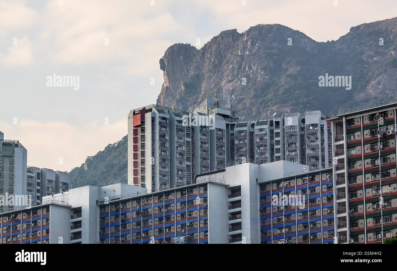 Hong Kong paesaggio di alloggiamento sotto Lion Rock Foto Stock