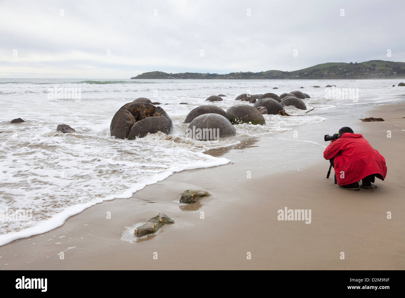 Turisti in massi Moeraki,l'isola Meridionale, Nuova Zelanda Foto Stock
