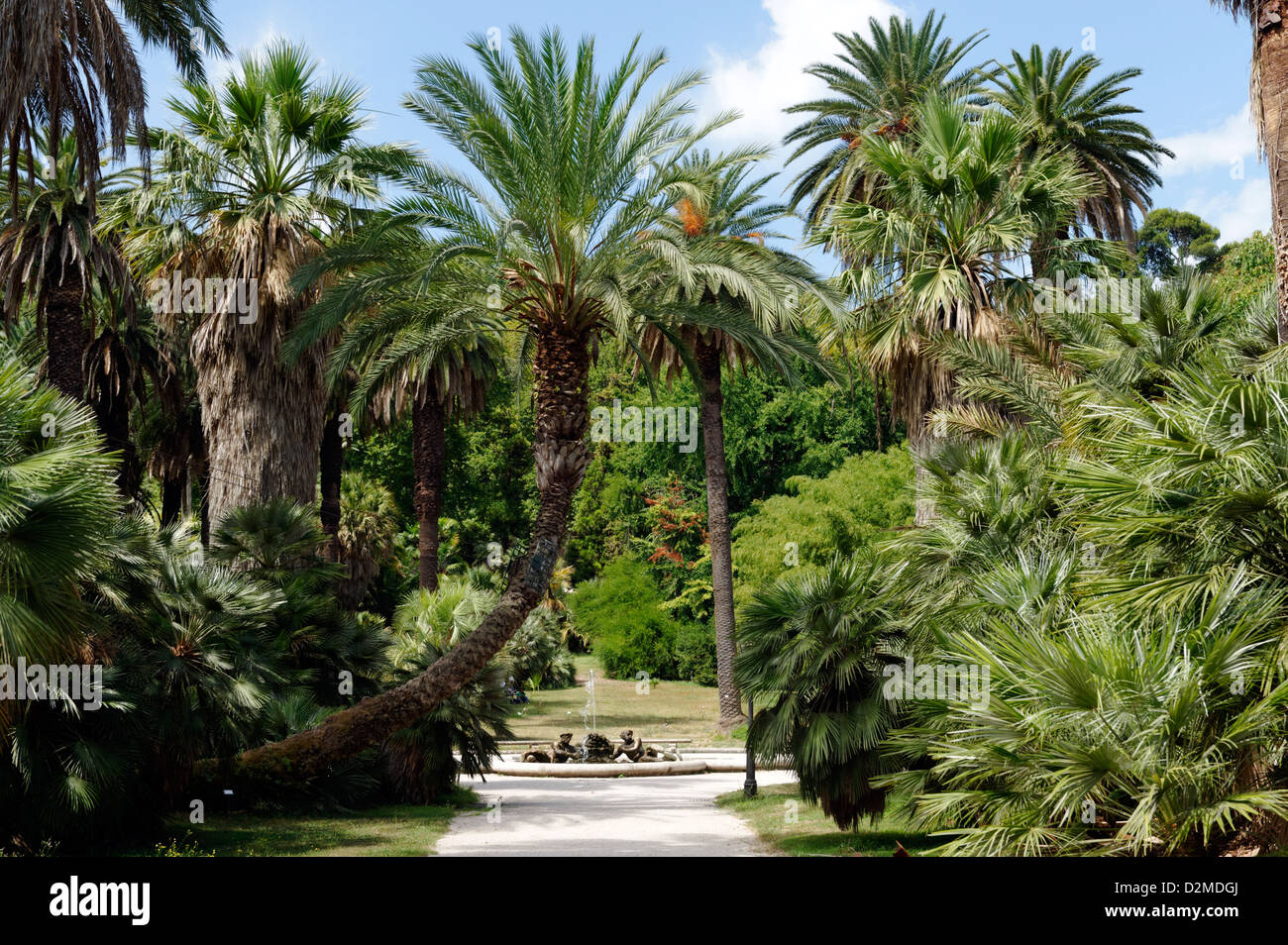 Roma. L'Italia. Viale delle Palme portano alla fontana dei Tritoni presso l'Orto Botanico di Roma o a Roma il giardino botanico. Foto Stock