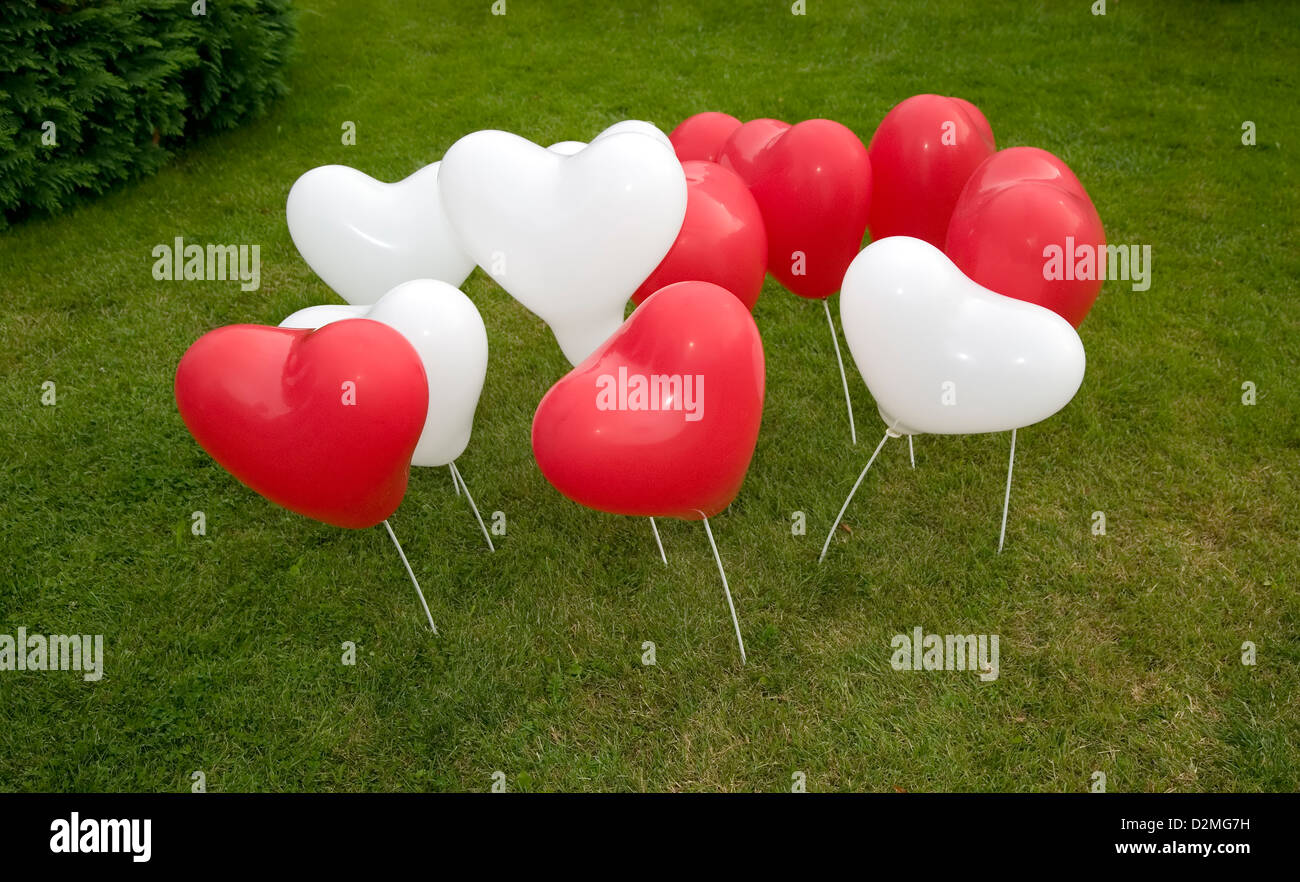 Ci sono il bianco e il rosso cuore di palloncini Foto Stock