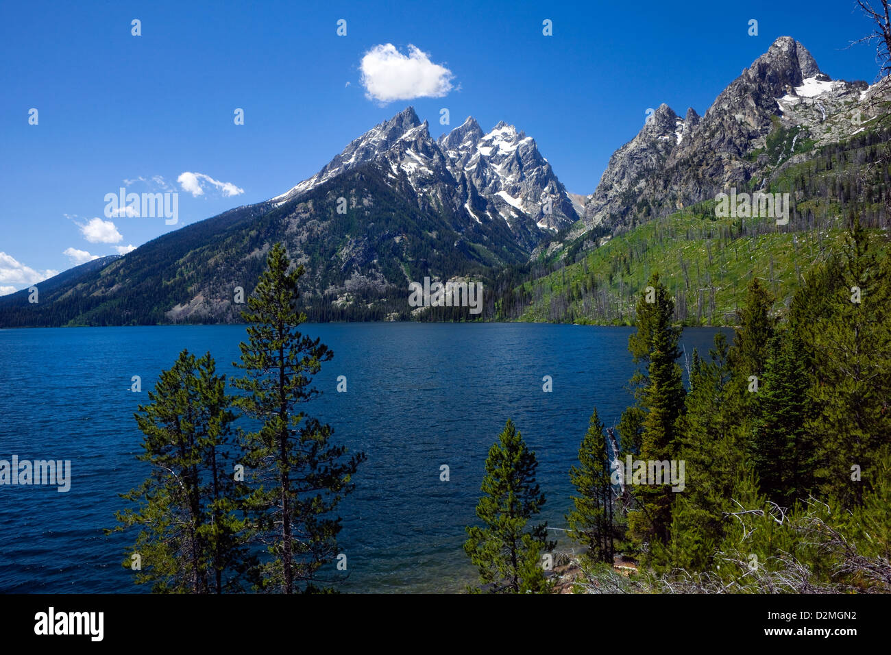 WYOMING - Jenny il lago con una vista di base della cascata Canyon e i Teton Mountains nel Parco Nazionale di Grand Teton. Foto Stock