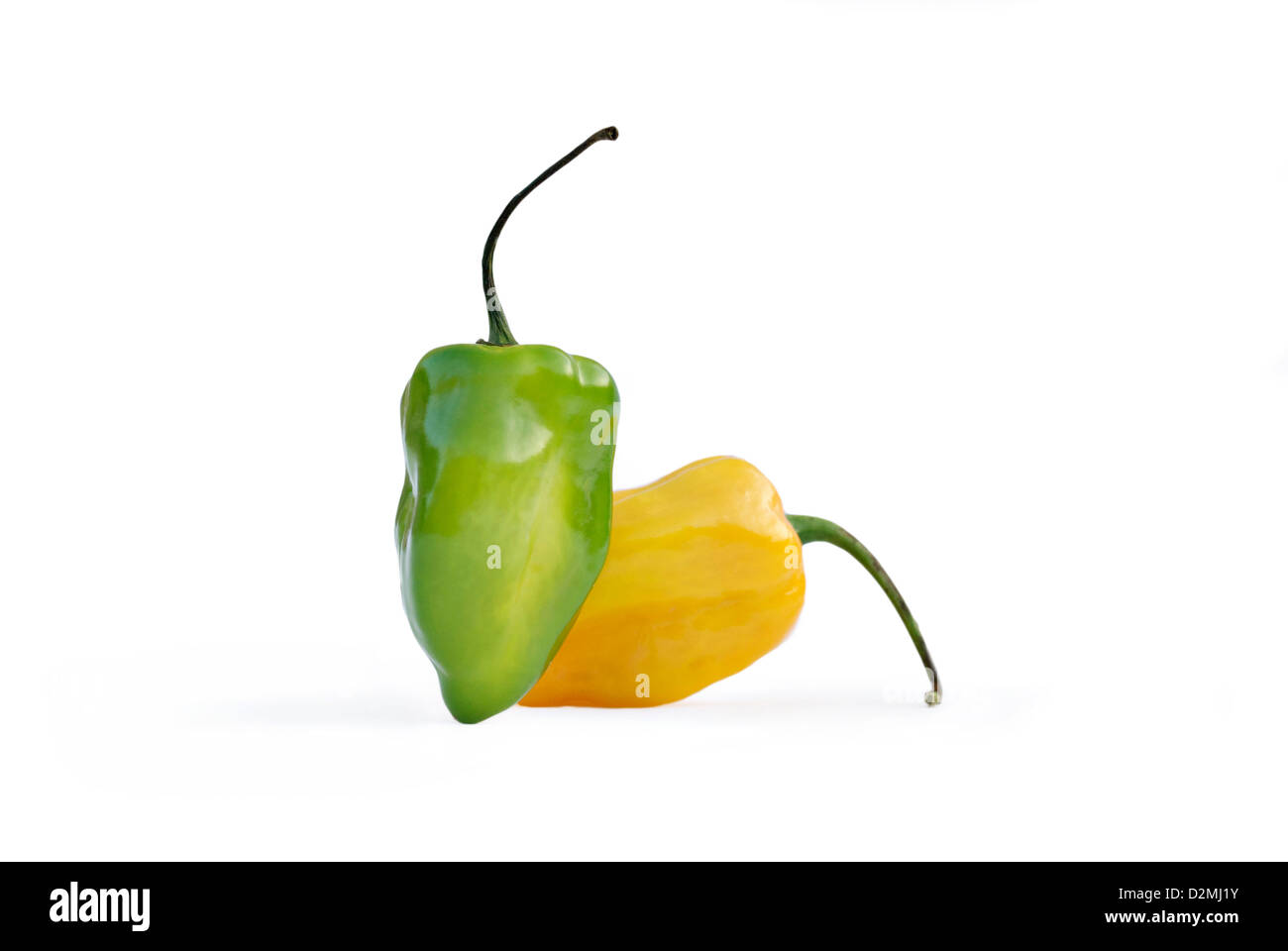 Habanero Peperoncino Foto Stock