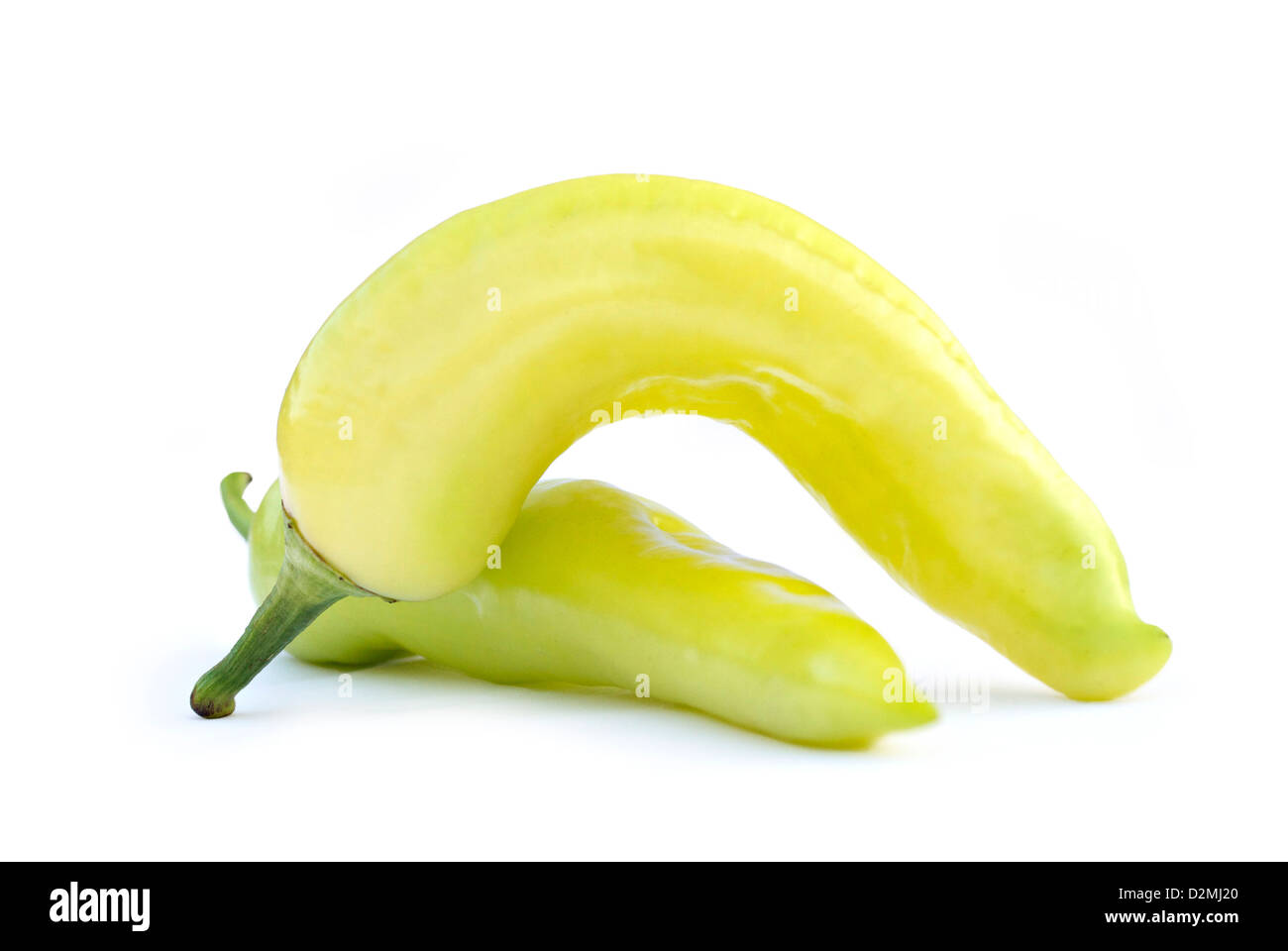 Xcatic Cile,la più coltivata pepe nel mondo Foto Stock