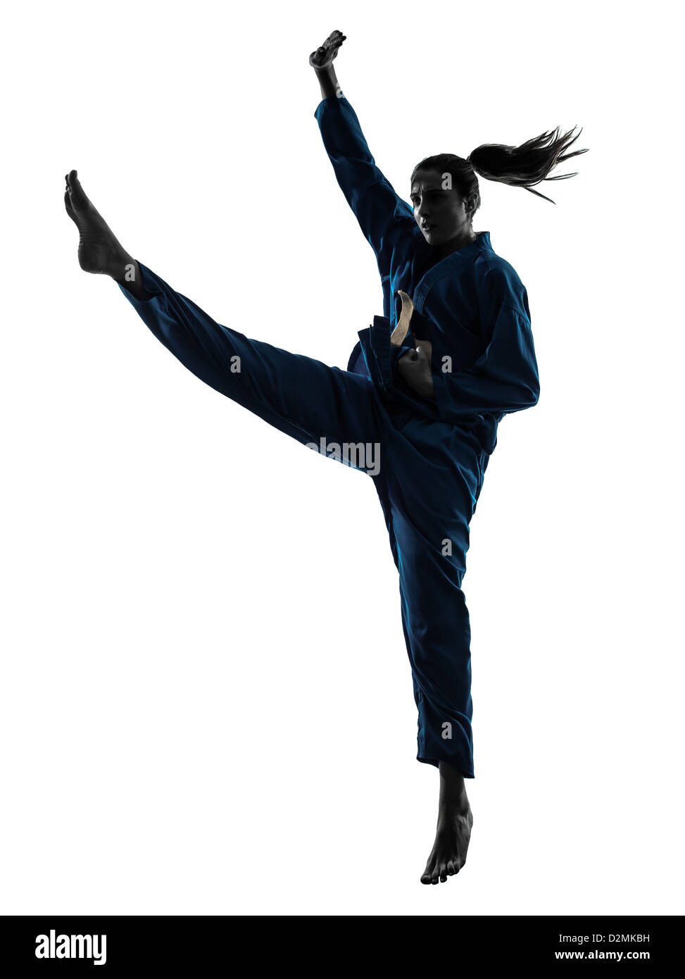 Una donna che esercitano vietvodao karate arti marziali in silhouette studio isolato su sfondo bianco Foto Stock