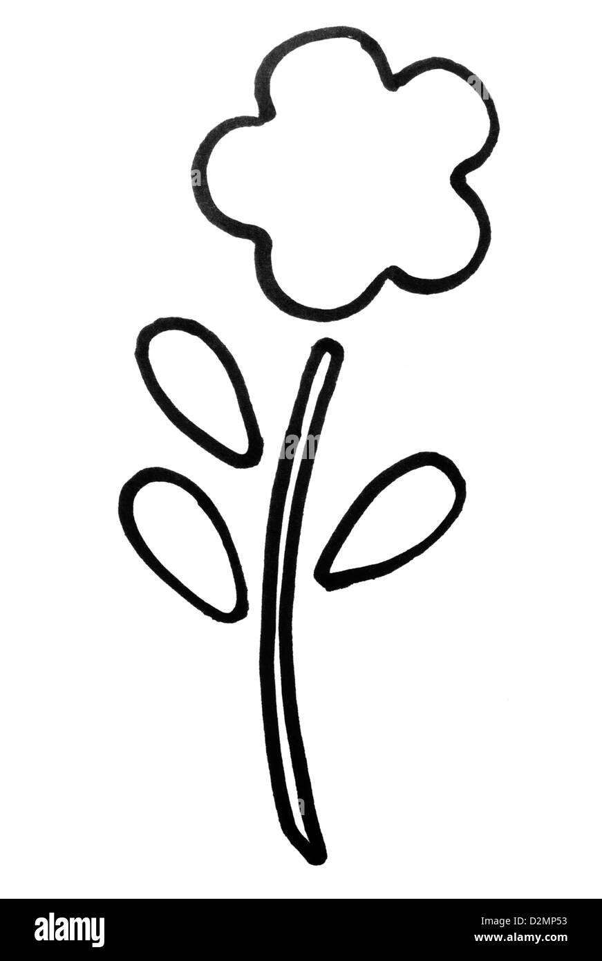 Profilo di un fiore Foto Stock