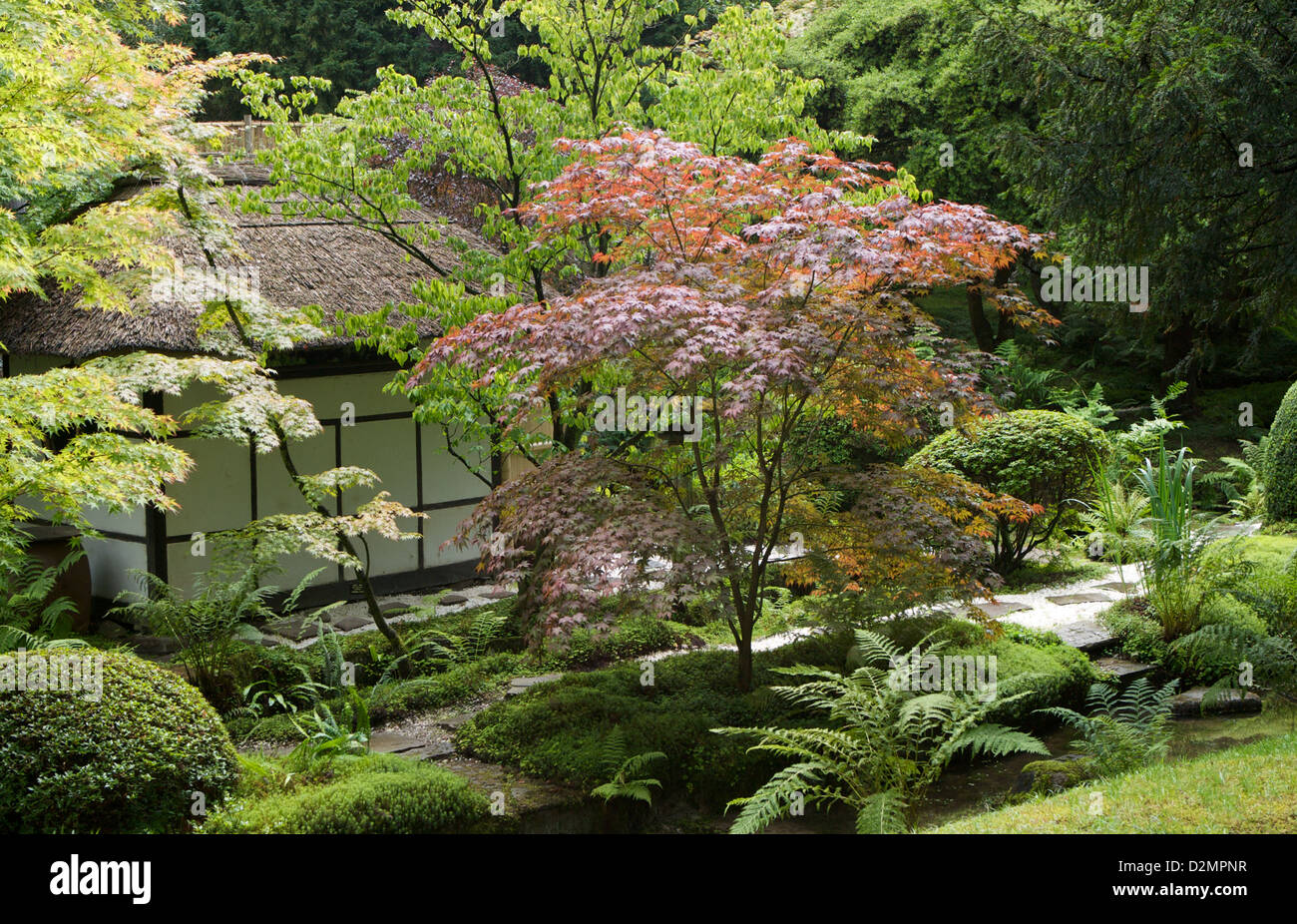 Una vista del giardino giapponese a Tatton Park, Knutsford, Cheshire. Foto Stock