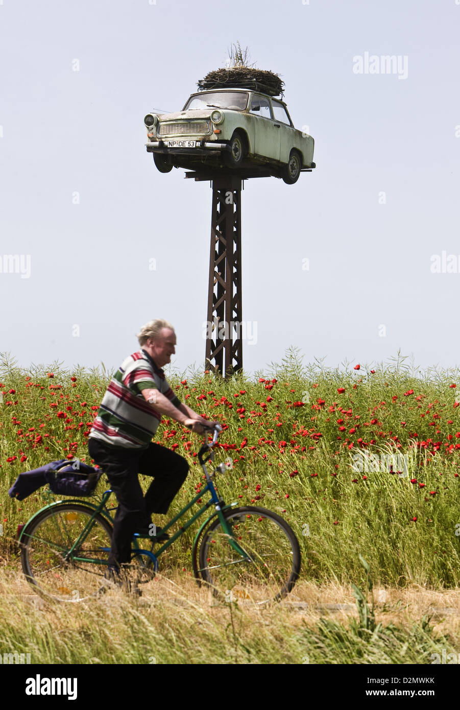 Un nido di cicogna è raffigurato in una singolare posizione su una Trabant seduto su una elettro palo in Neuruppin, Germania, 28 maggio 2008. Essa è stata tuttavia più di tre anni che le cicogne allevati ci e gras cresce fuori del nido. Forse è anche una questione di gusto in tipi di auto. Foto: Patrick Pleul Foto Stock