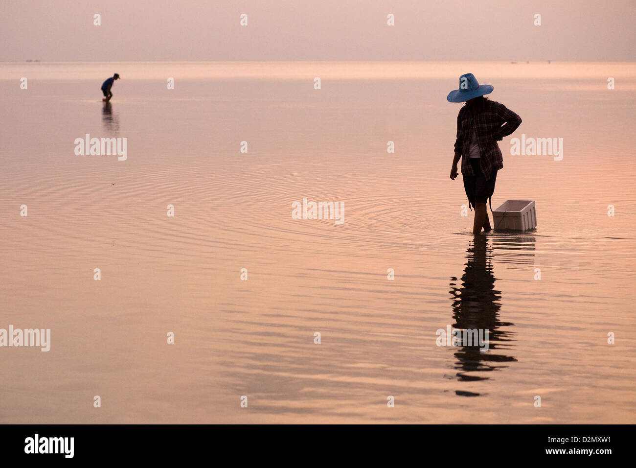 Il Clam picking su Koh Phangan island , della Thailandia Foto Stock