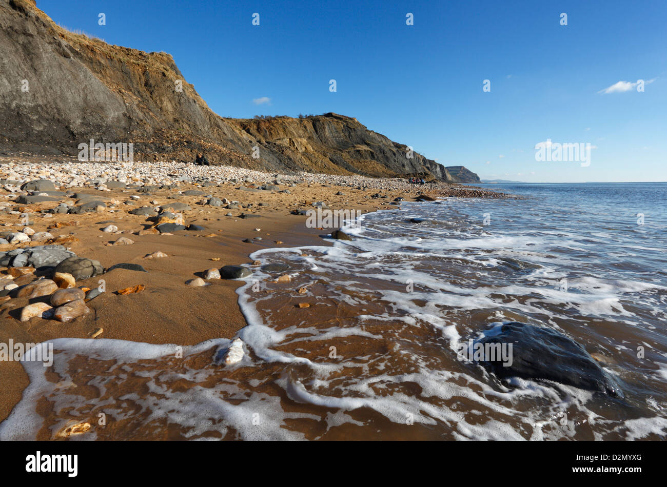 Ricchi di fossili di scogliere a Charmouth Beach. Jurassic Coast Sito Patrimonio Mondiale. Il Dorset. In Inghilterra. Regno Unito. Foto Stock