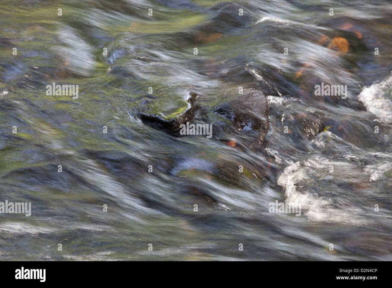 Veloce dell'acqua che scorre in un fiume Pennine Foto Stock