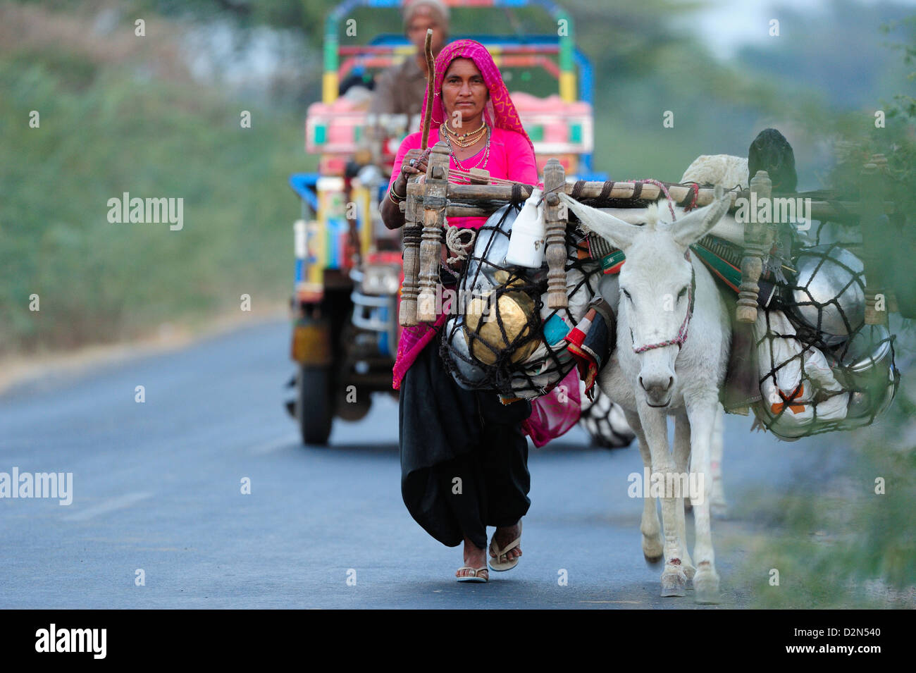 Una donna nomade in viaggio con il suo asino, Gujarat, India, Asia Foto Stock