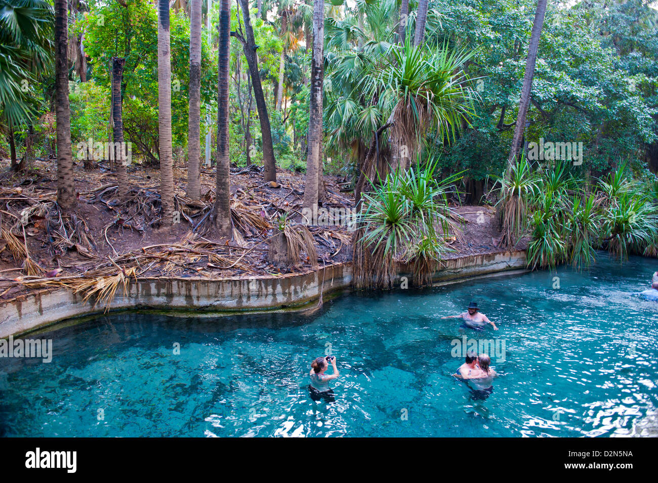 Mataranka thermal pool nell'outback del Territorio del Nord, l'Australia, il Pacifico Foto Stock